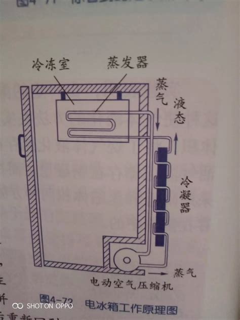 冰箱運作原理|冰箱的工作原理以及它的循環是怎樣的